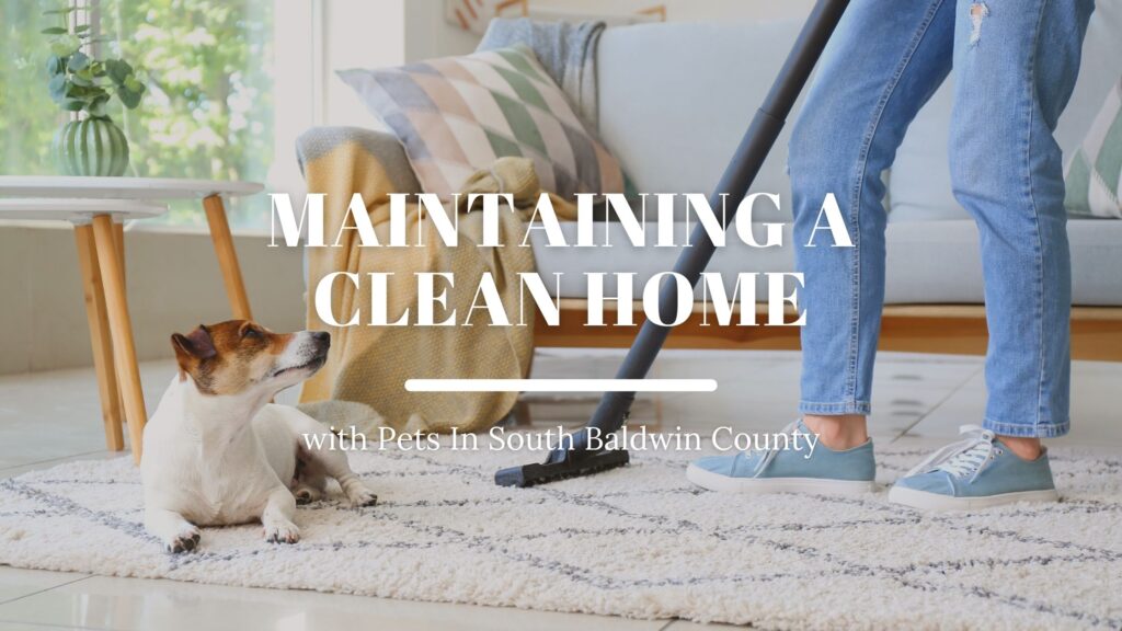 Maintaining a Clean Home with Pets in South Baldwin County, AL