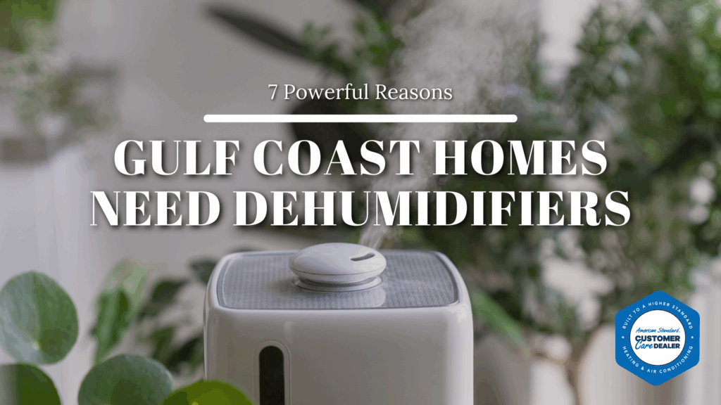 7 Powerful Reasons Gulf Coast Homes Need Dehumidifiers