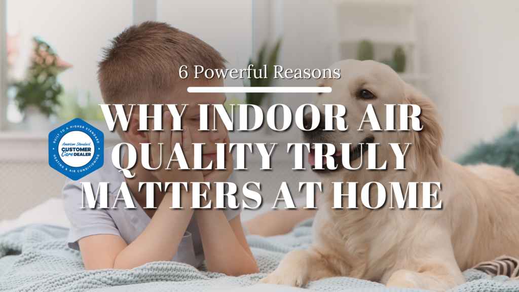 6 Powerful Reasons Why Indoor Air Quality Truly Matters at Home