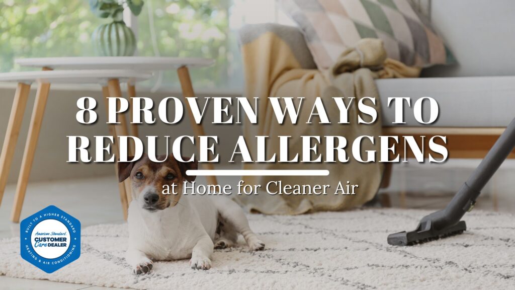 8 Proven Ways to Reduce Allergens at Home for Cleaner Air